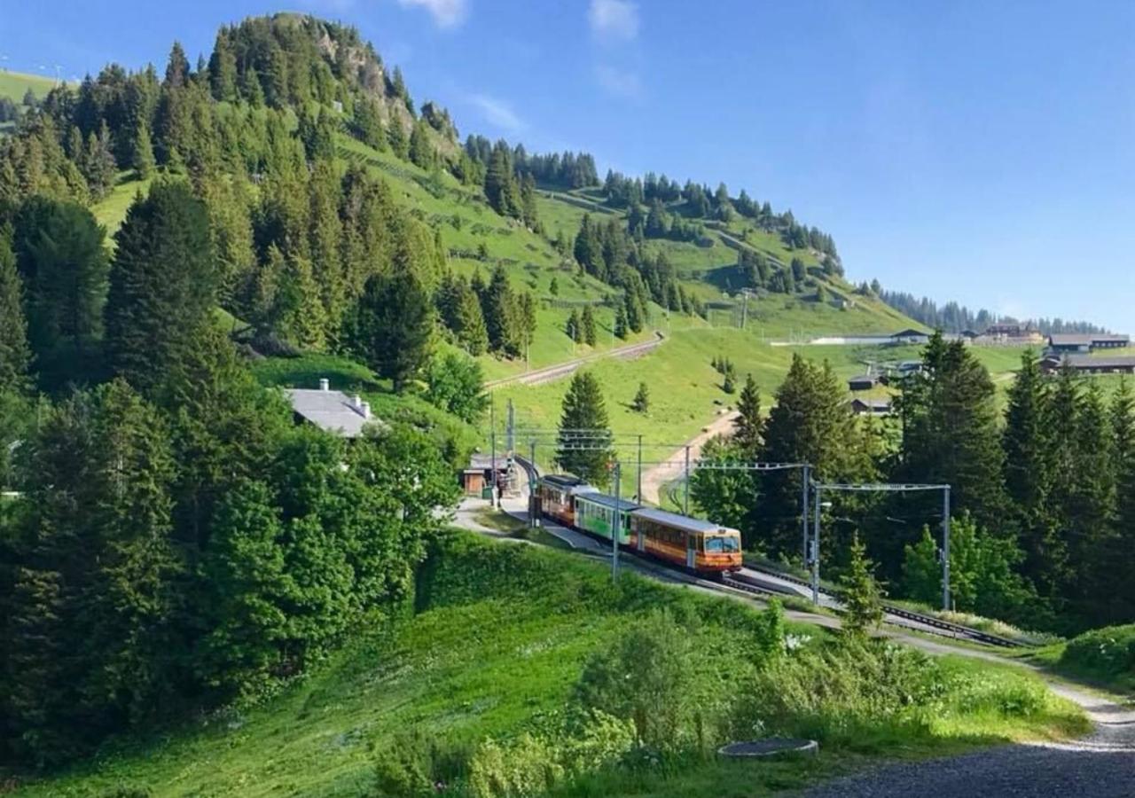 Maison De Montagne De Bretaye Acces Par Le Train Arret Bouquetin Villars-sur-Ollon Zewnętrze zdjęcie